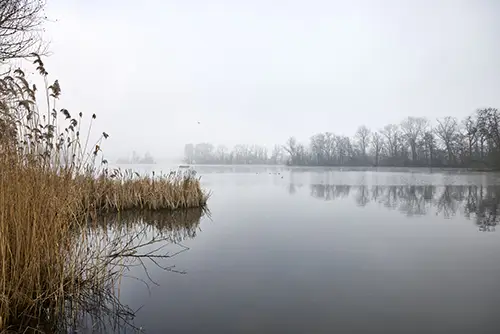Winter morning - Donkmeer, Overmere